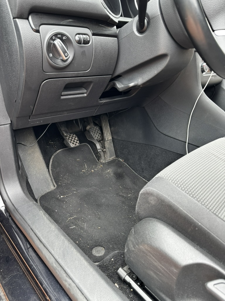 Schimmel Auto entfernen: So wird Ihr Innenraum wieder gesund und geruchsfrei